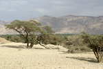      Eilat region